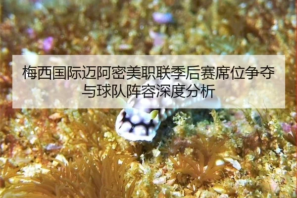 梅西国际迈阿密美职联季后赛席位争夺与球队阵容深度分析